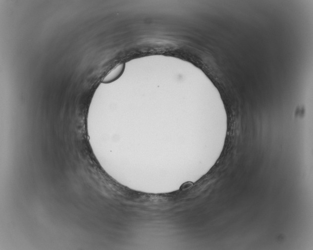 X0000112461109200909281013
