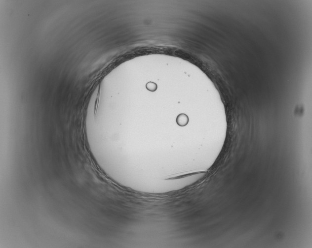 X0000112461110200909281013