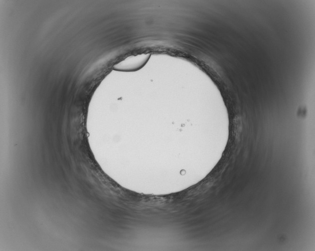 X0000112461111200909281013