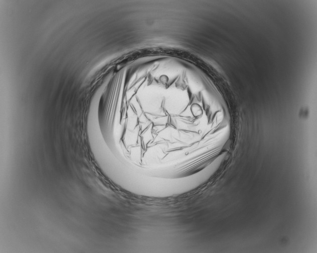 X0000112461112200909281013