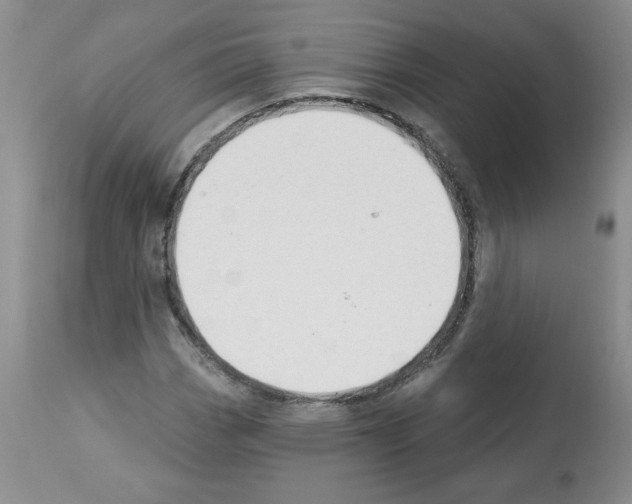 X0000112461113200909281013