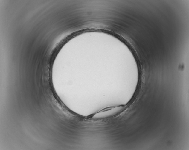 X0000112461115200909281013