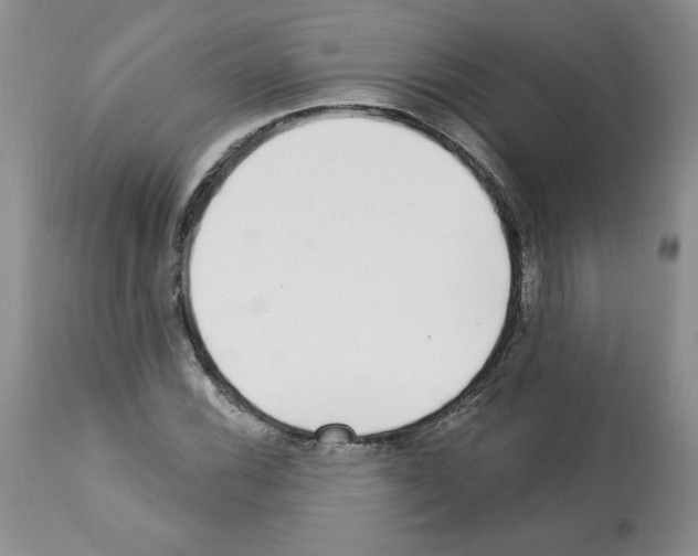 X0000112461116200909281014