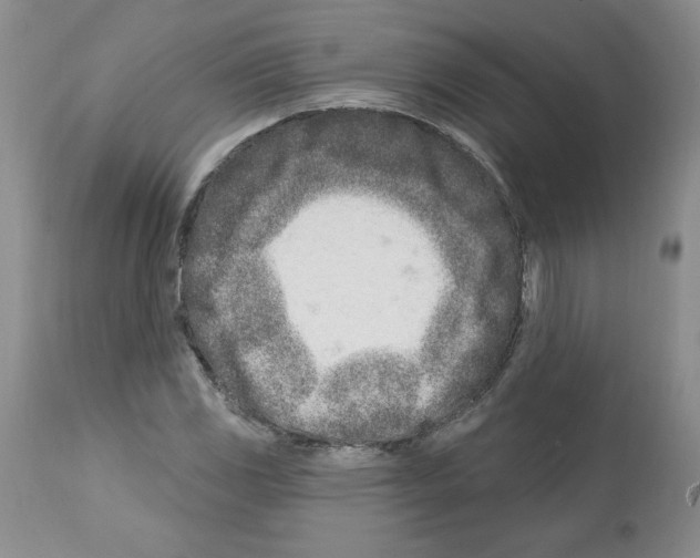 X0000112461117200909281014