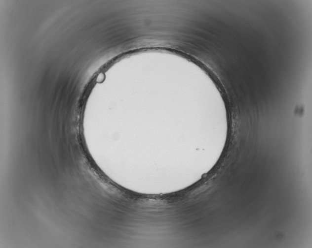 X0000112461119200909281014