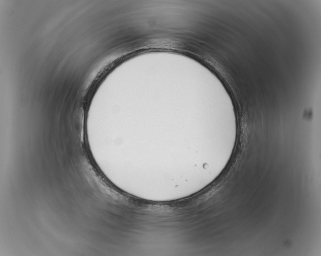 X0000112461123200909281014