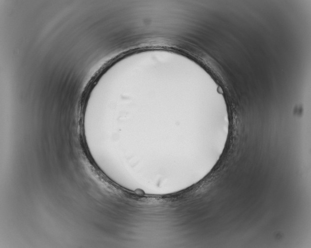 X0000112461124200909281014