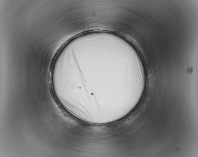 X0000112461125200909281014