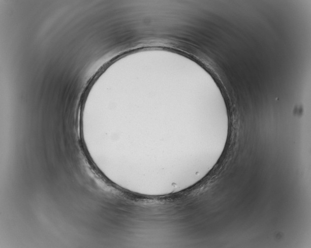 X0000112461127200909281014