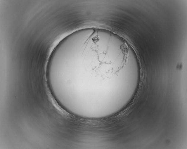 X0000112461128200909281014