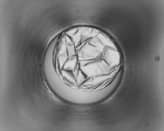 X0000112461129200909281014