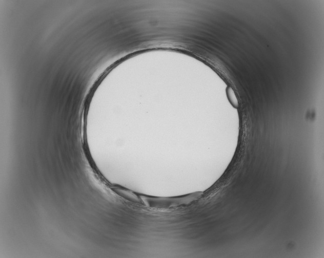 X0000112461132200909281014