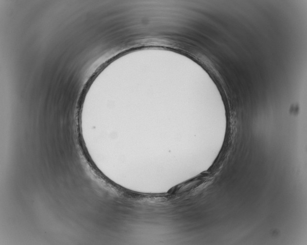 X0000112461133200909281014