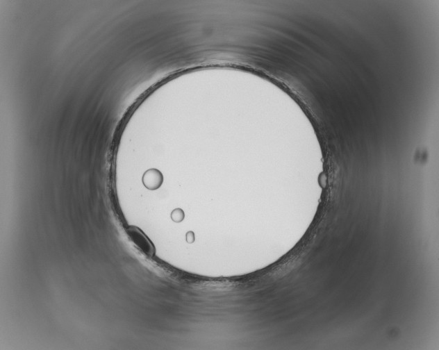 X0000112461134200909281014
