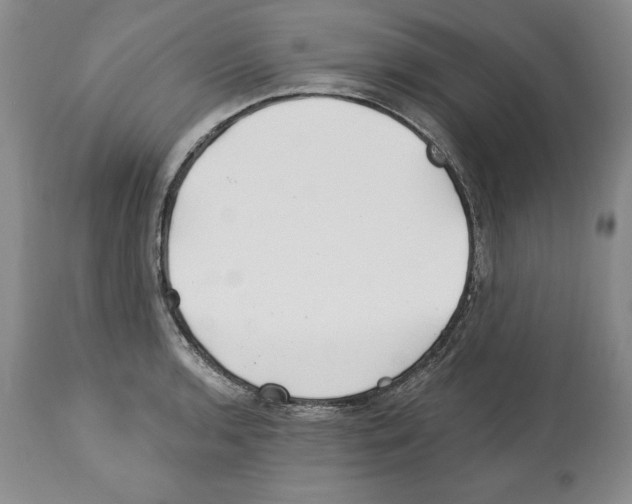 X0000112461136200909281014