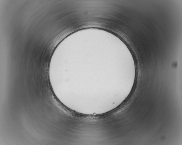 X0000112461137200909281014