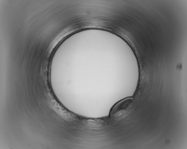 X0000112461138200909281014