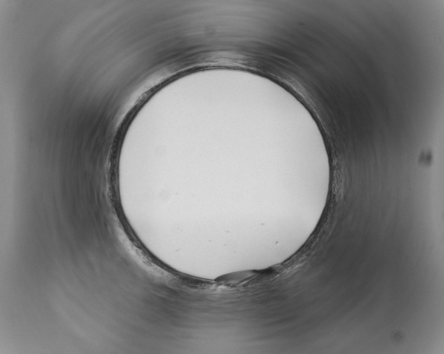 X0000112461139200909281014