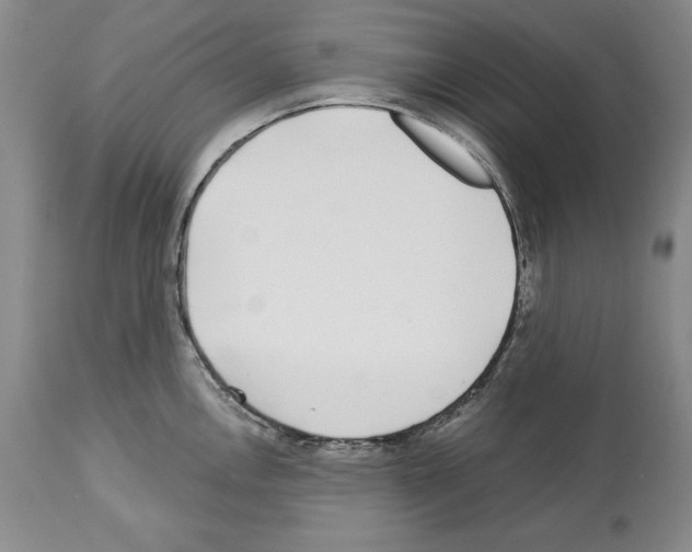 X0000112461146200909281014