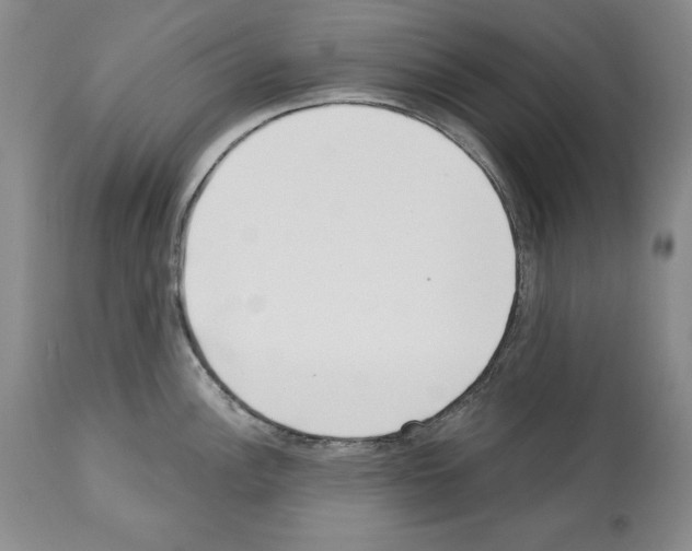 X0000112461148200909281014