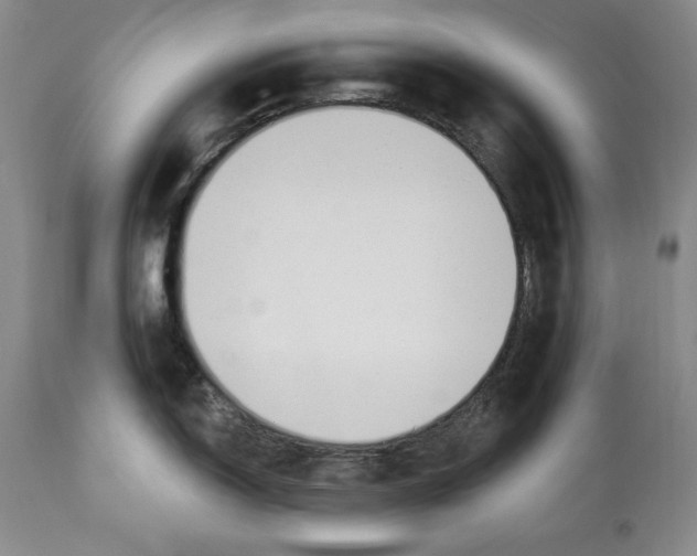 X0000112461150200909281014