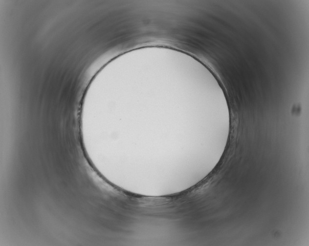 X0000112461151200909281014