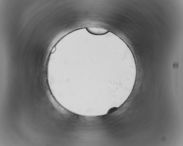 X0000112461152200909281014
