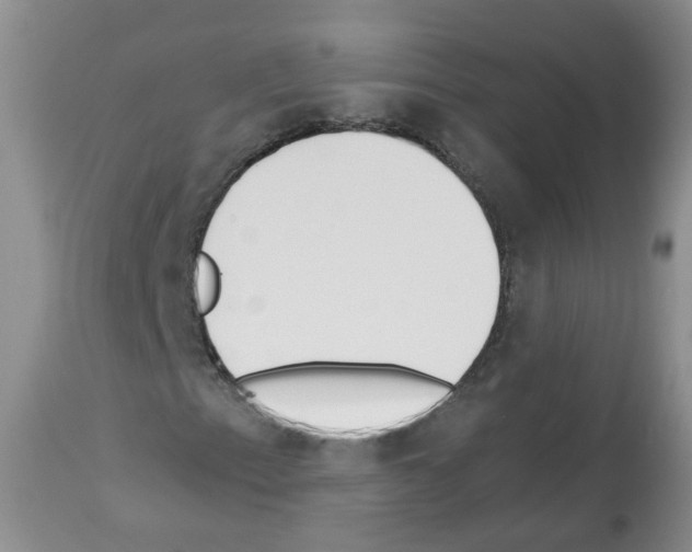 X0000112461153200909281013