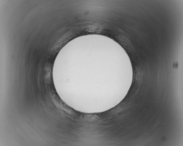 X0000112461154200909281013