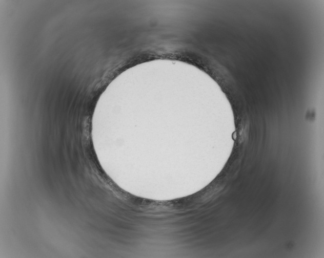 X0000112461156200909281013