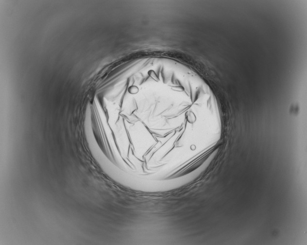 X0000112461157200909281013