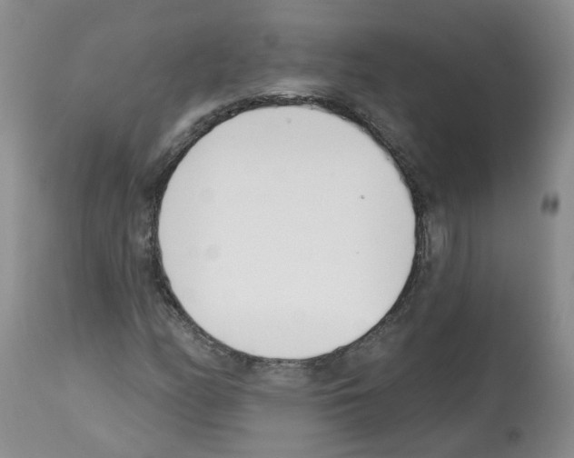 X0000112461158200909281013