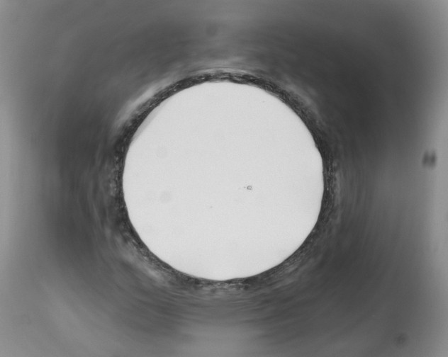 X0000112461159200909281013