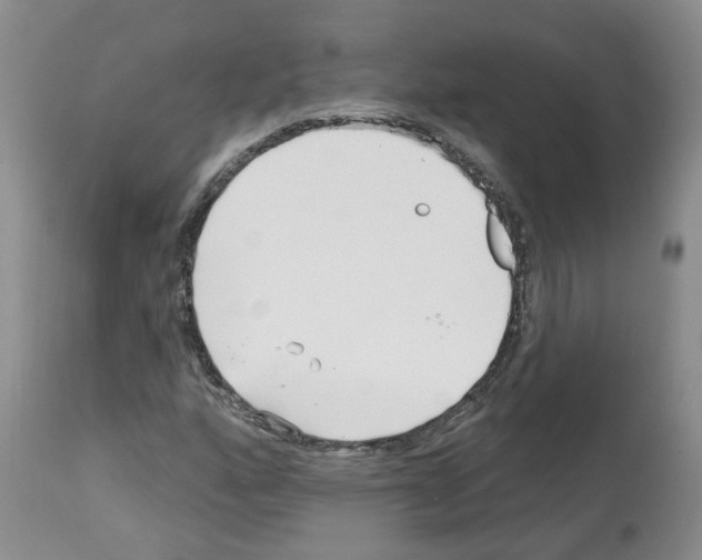 X0000112461160200909281013