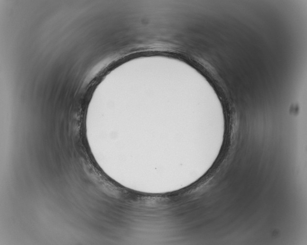 X0000112461163200909281013