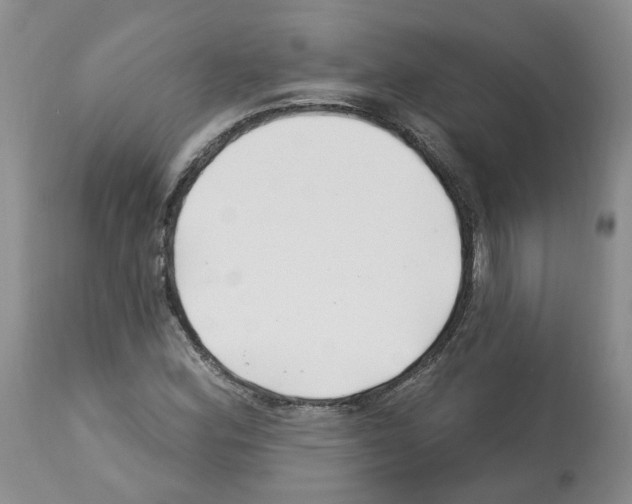X0000112461164200909281013