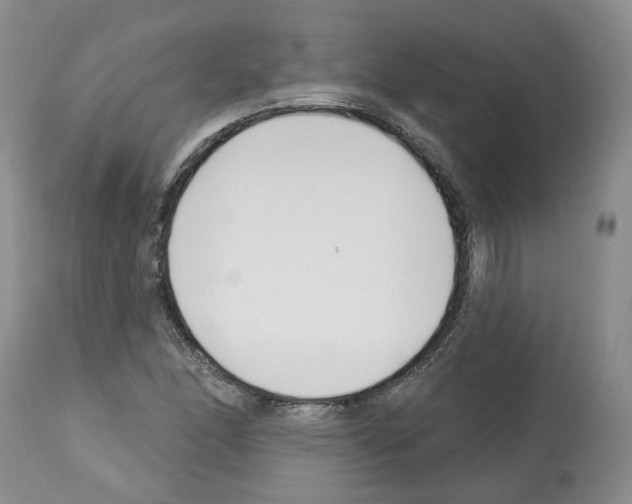 X0000112461166200909281013