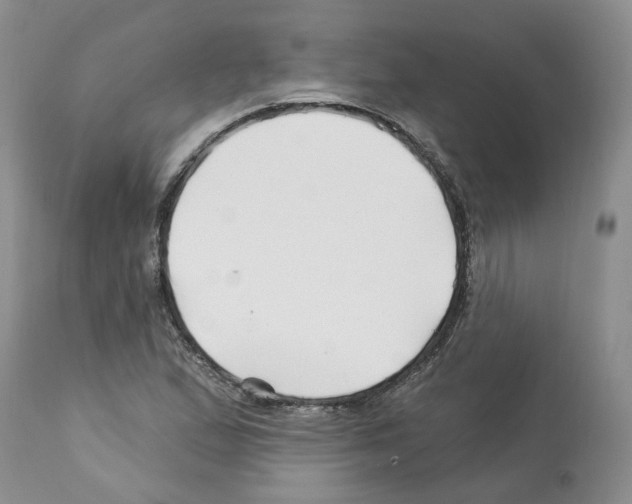 X0000112461167200909281013
