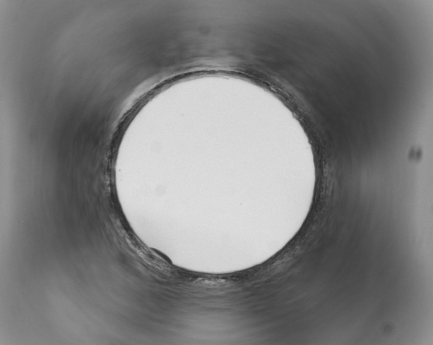 X0000112461168200909281013