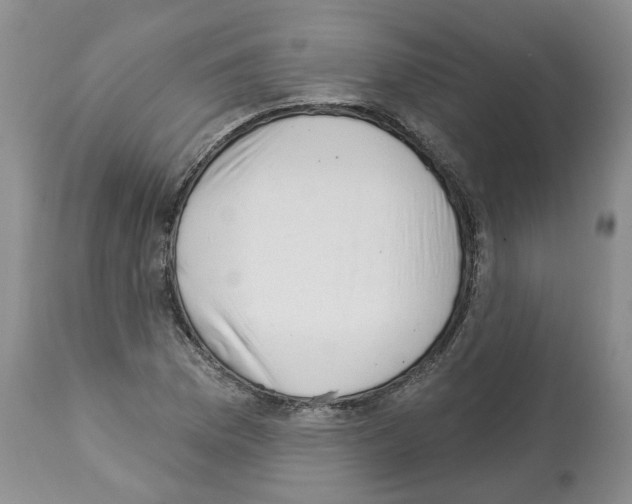 X0000112461169200909281013