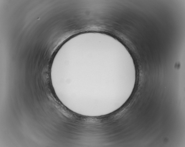 X0000112461170200909281013