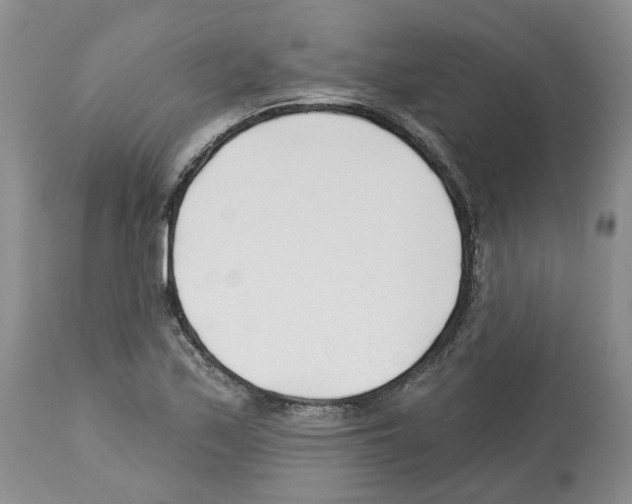 X0000112461171200909281013