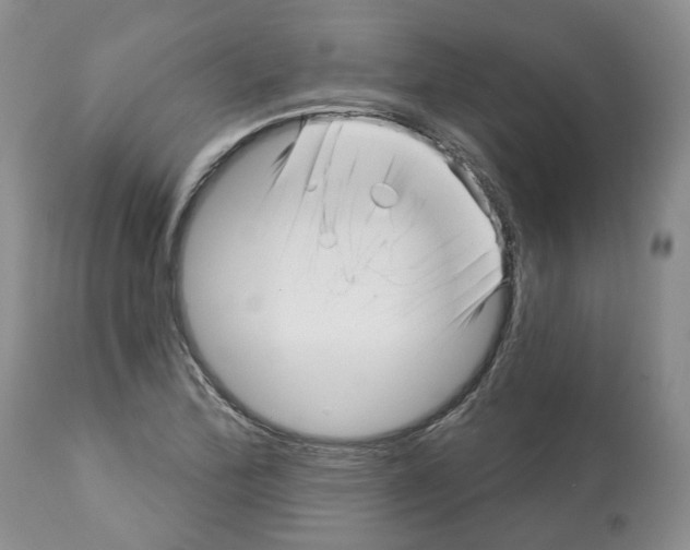 X0000112461172200909281013