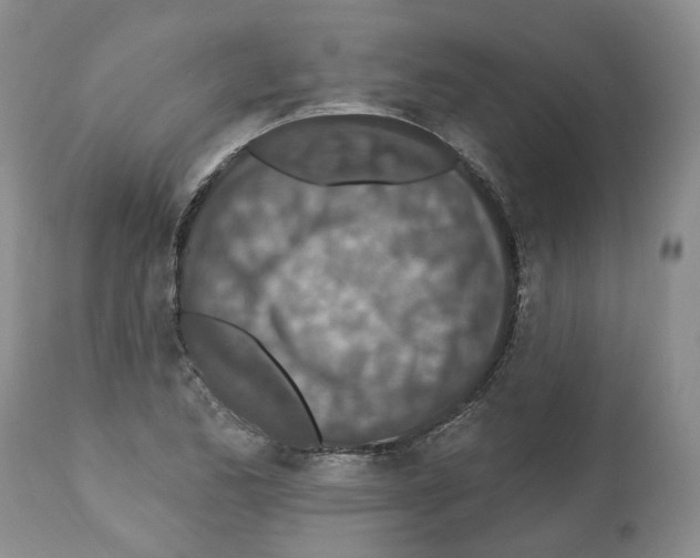 X0000112461173200909281013
