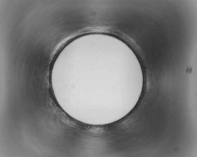X0000112461174200909281013