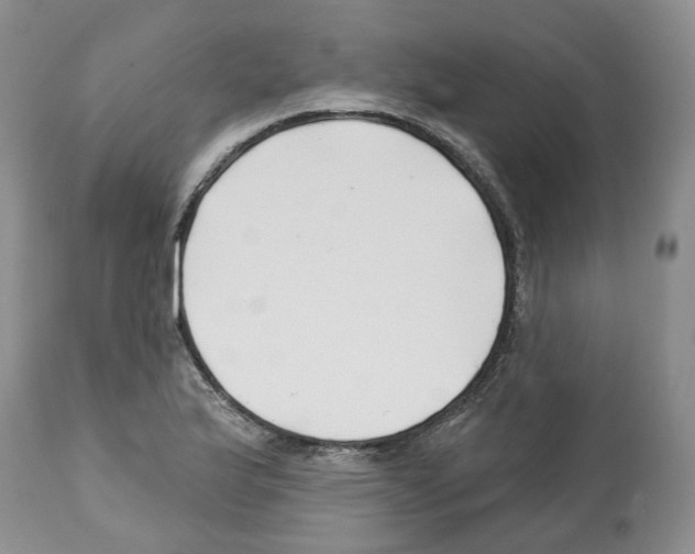 X0000112461175200909281013