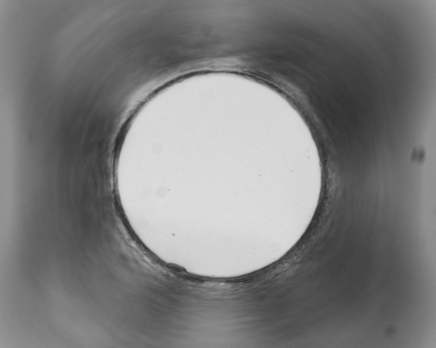 X0000112461176200909281013