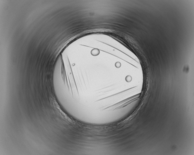 X0000112461177200909281013
