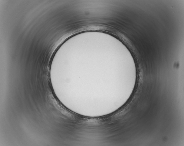 X0000112461178200909281013