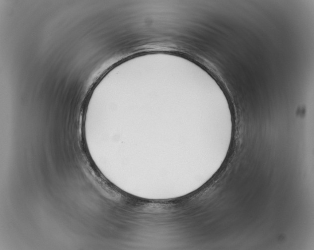 X0000112461179200909281013